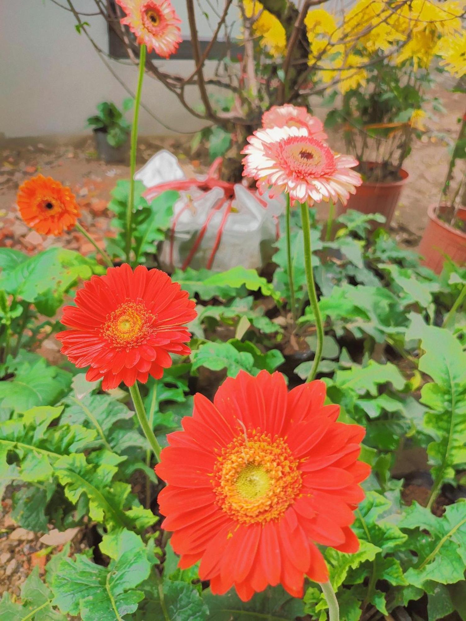 Trang An Natural Mountainside Homestay 닌빈 외부 사진