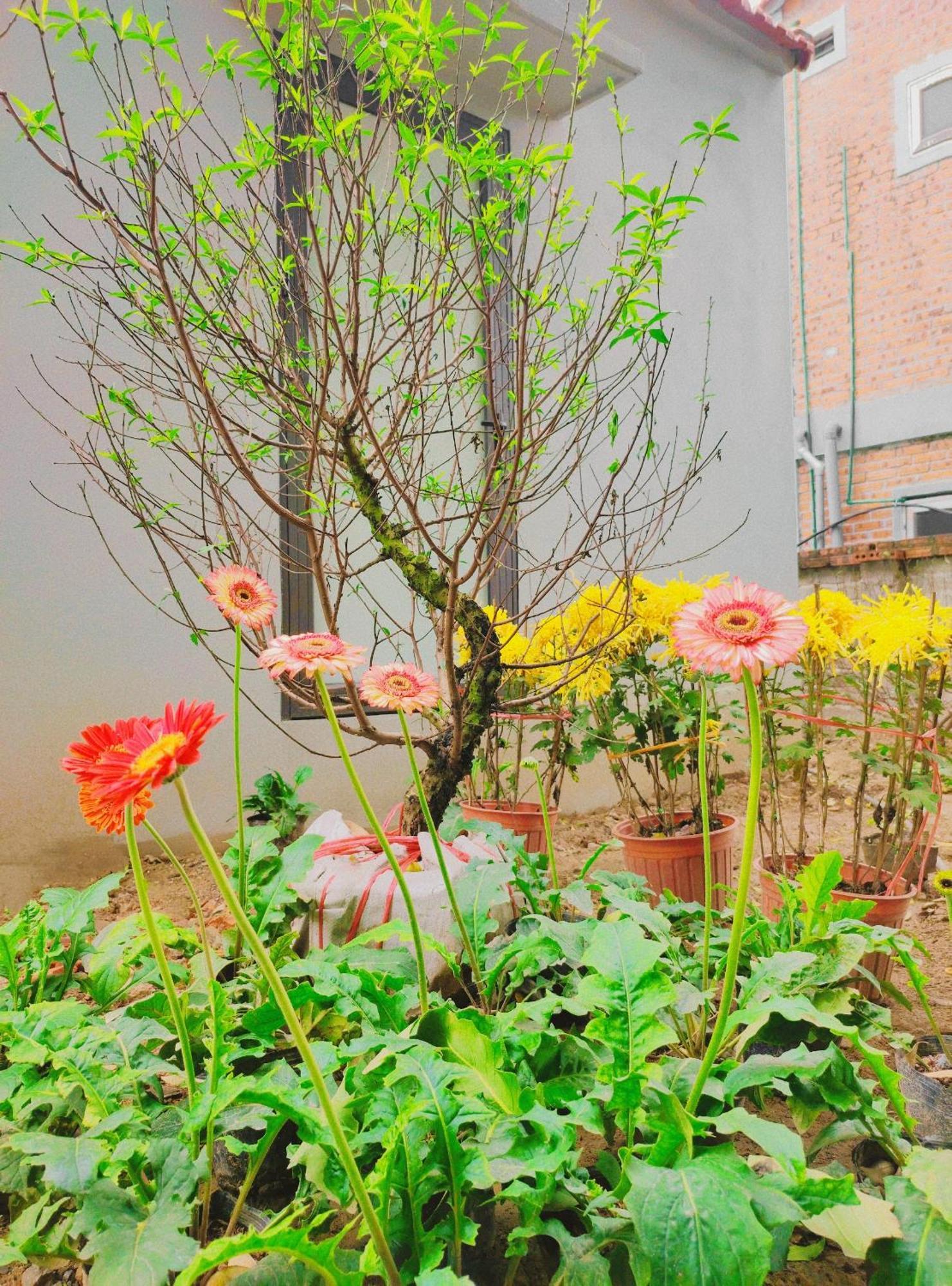 Trang An Natural Mountainside Homestay 닌빈 외부 사진