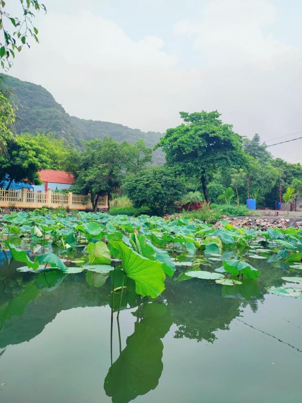 Trang An Natural Mountainside Homestay 닌빈 외부 사진