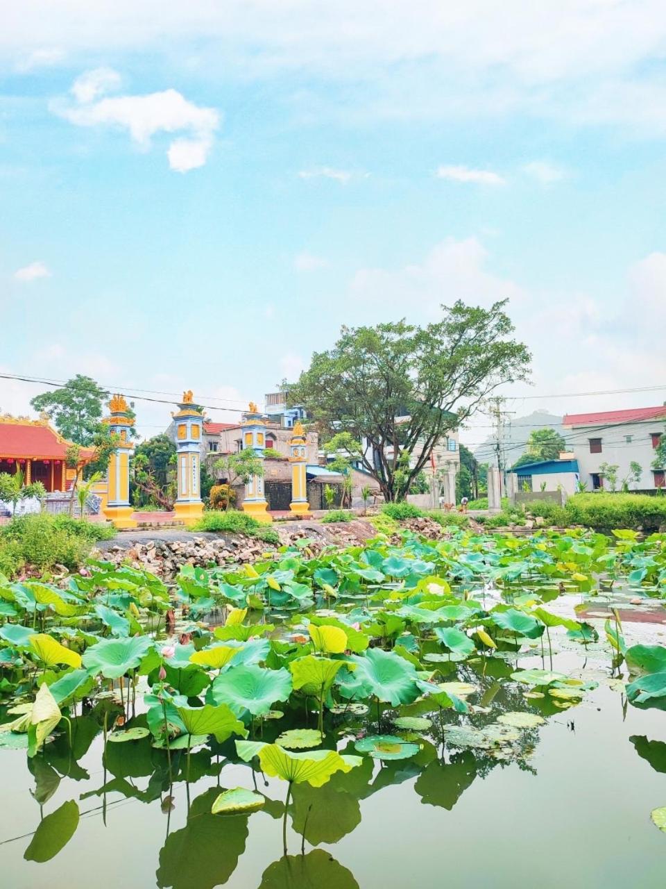 Trang An Natural Mountainside Homestay 닌빈 외부 사진