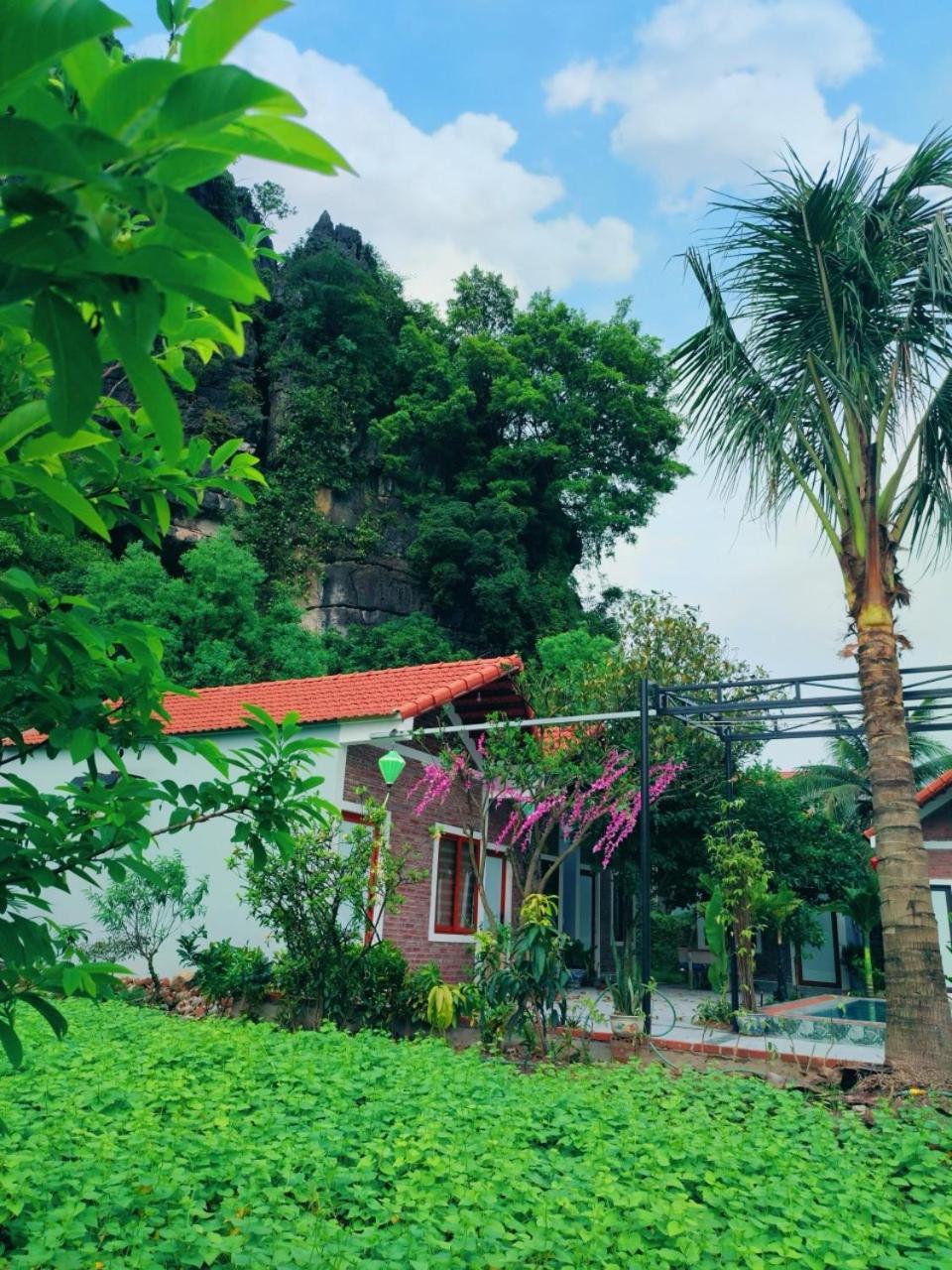 Trang An Natural Mountainside Homestay 닌빈 외부 사진