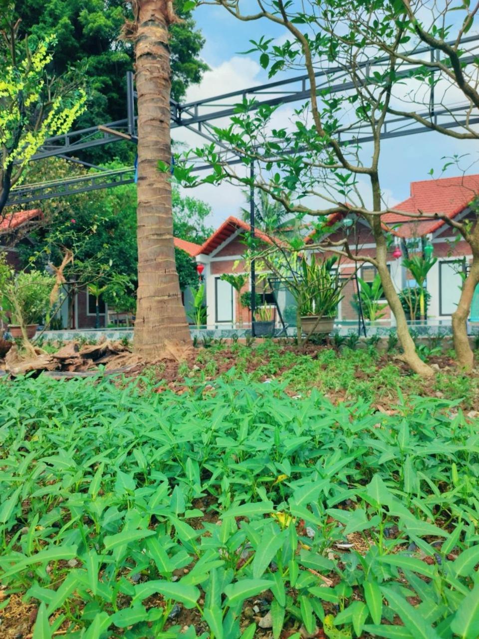 Trang An Natural Mountainside Homestay 닌빈 외부 사진