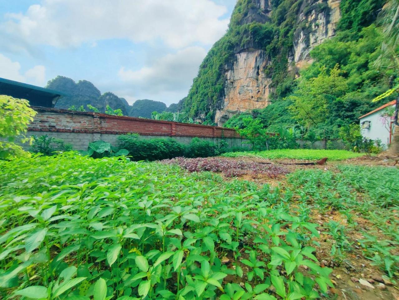 Trang An Natural Mountainside Homestay 닌빈 외부 사진
