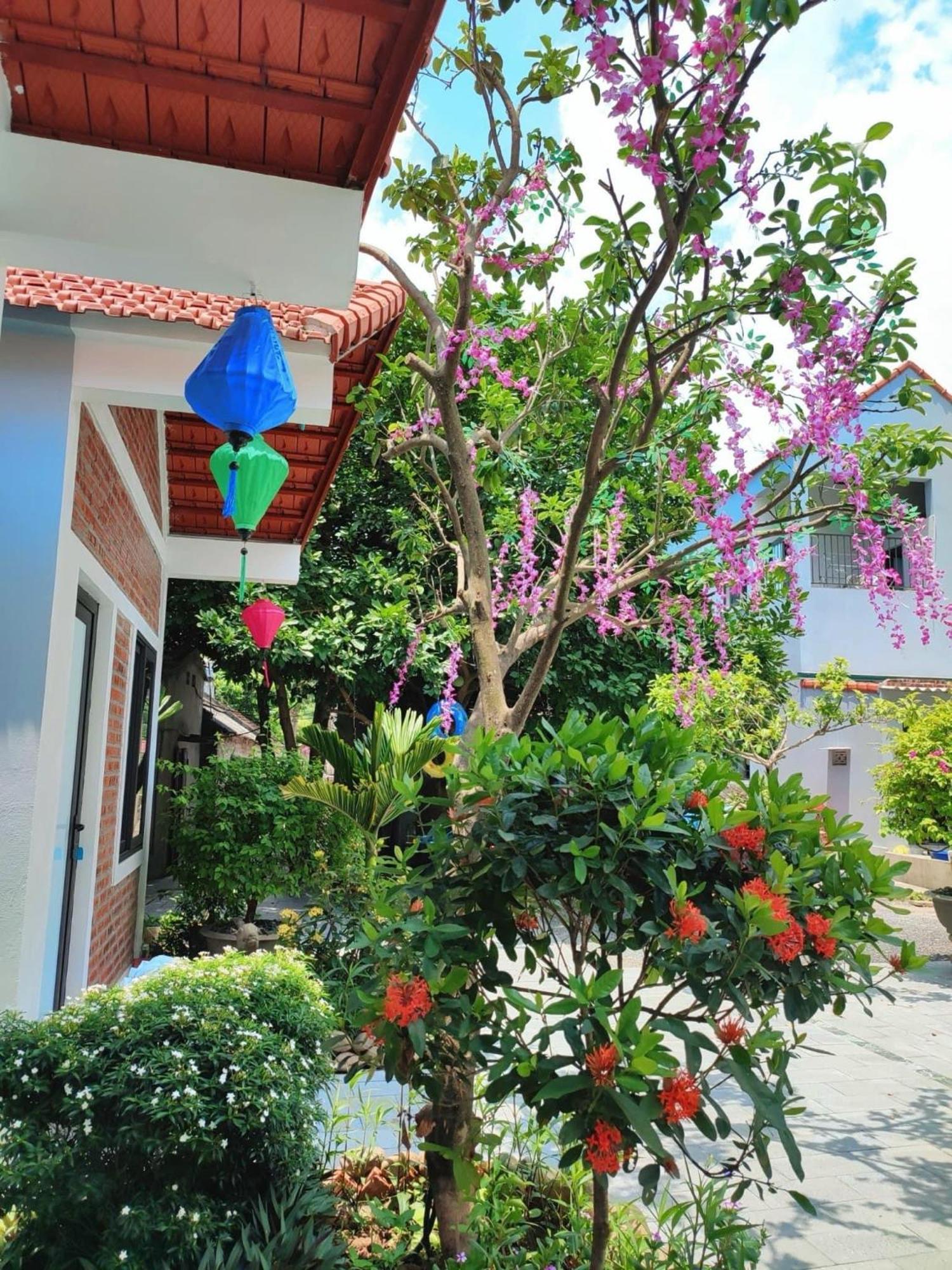 Trang An Natural Mountainside Homestay 닌빈 외부 사진